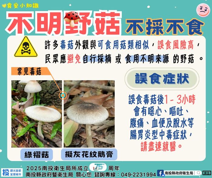 不明野菇、不採不食圖片